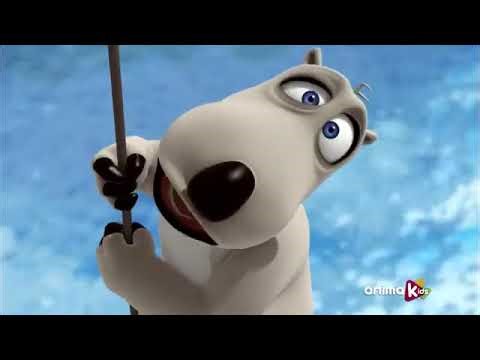 Bernard Bear Diving Bernard Best Moments