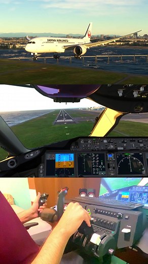 Japan Airlines Flight 123 Landing at Haneda Airport