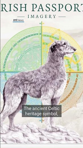 Irish passport gets a makeover | #RTÉNews #passport #irish #irishwolfhound