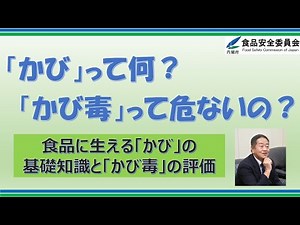 食品に生える「かび」の基礎知識と「かび毒」のリスク評価〔令和4年度食品安全モニターセミナーより〕