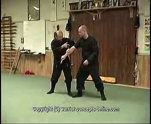 Técnicas de Ninjutsu