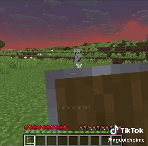 Hướng Dẫn Sử Dụng Khiên Trong Minecraft