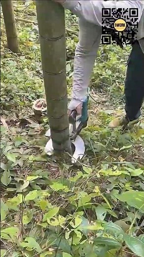 Manual Bamboo and Tree Branch Cutting Tool in Action #9work