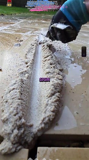 Exploring the New World of Frozen at Disneyland Paris