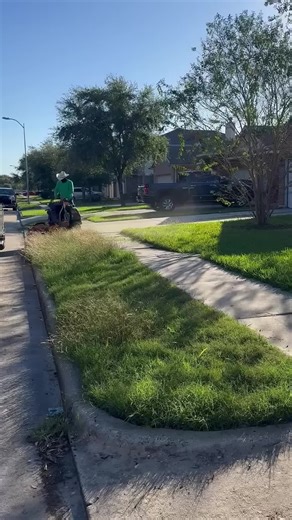 Lawn Care and Mowing Tips