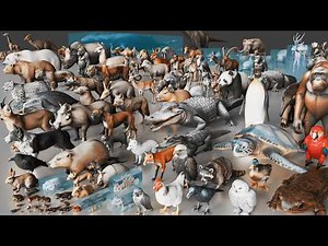 Animals 3D Size Comparison (100+ Animals)