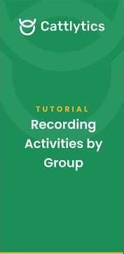 How to Record Activities by Groups in Cattlytics