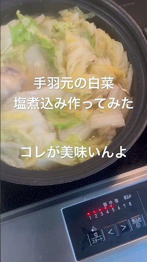 手羽元を使って、白菜塩煮込み作ってみた！シンプルに白菜と手羽元のみが美味い😋決めては良い塩使うこと。