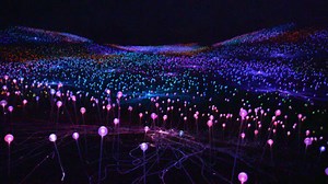 California’s dazzling "Field of Light" display comes alive at sunset
