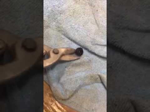 Whirlpool dishwasher leaks from bottom