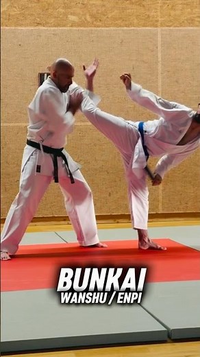Bunkai Wanshu - Karate Wado Ryu
