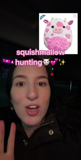 Squishmallow Hunting at Walmart: Finding the Cutest Plush Toys!
