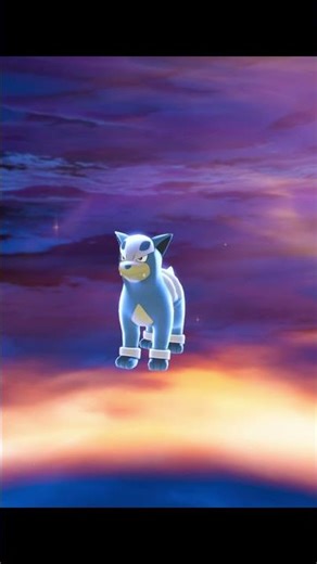 Shiny Houndour Evolved Into Shiny Houndoom!