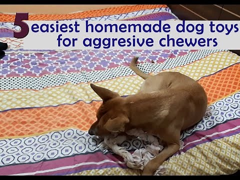 How to make 5 easiest HOMEMADE DOG TOYS for aggressive chewers | t-shirt toys| Delta approved ;)