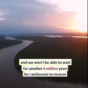 The Amazon rainforest took 6 million years to form. | Hashem Al-Ghaili