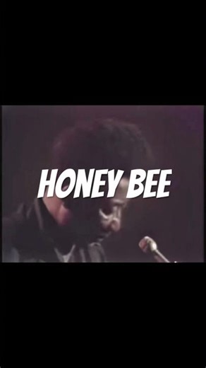 Honey Bee - Muddy Waters