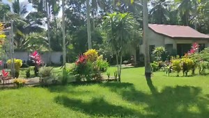 1.5 hectare beautiful farm land with house in Lipa City Batangas, planted with lots of fruit bearing trees, such as lanzones, rambutan, dalandan, coconuts, jackfruit. flat land, fully fenced, 15 to max 20 mins drive from Town Proper of Lipa City, 2 hours drive from Manila.Titled property, Regarding the price the owner is asking 1600/sqm | Murang Farm Lots sa Batangas, Laguna, Quezon