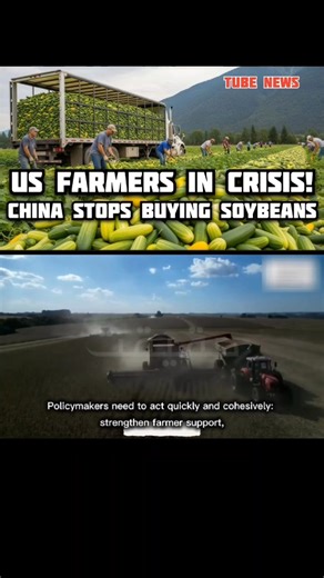 28K views · 750 reactions | China vs USA Trade Crisis 2025 | Farmers...