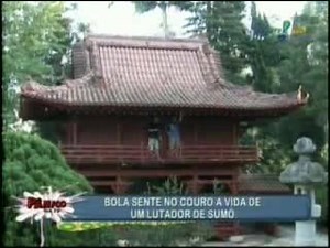 2.9K views · 118 reactions | Bola sentindo no couro - dia de sumô Atenção ⚠️ (Volume alto) | Marcos Chiesa Bola Boleta Bolassa Fã Clube | Facebook