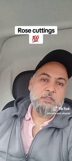 How to Grow Roses from Cuttings: A Step-by-Step Guide