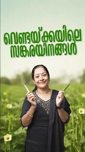 ഇനി മറക്കില്ലല്ലോ? 😂 വെണ്ടയുടെ സങ്കരയിനങ്ങൾ | PSC Code #psccode
