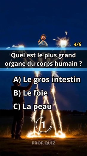 Quiz Anatomie : Systèmes et Mécanismes Corporels ! 🫀 Teste tes connaissances sur la structure et le fonctionnement des différents systèmes du corps humain ! 🧠 Appareil cardiovasculaire, squelette, muscles, système nerveux, organes digestifs... Vérifie ta compréhension de l'organisation anatomique et physiologique sur profquiz.fr ! 💪 #Quiz #Anatomie #CorpsHumain #Systèmes #ProfQuiz #Connaissances #Challenge #Mécanismes | Prof Quiz
