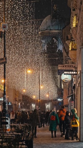 Vienna Visitas Photography on Instagram: "Snowy Christmas night in Vienna 🎄✨ The city glows quiet and magical under a winter sky. It’s a joy to capture these moments for you. All original content © @vienna_visitas Come visit Vienna 🤗 #ViennaChristmas #SnowyNight #WinterMagic #Vienna"