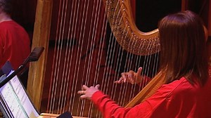 The strings section of the orchestra