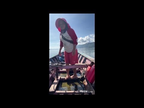 Menuju 100k subscriber 🙏🏻🙏🏻❗️❗️❗️