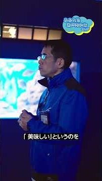 宇井館長のシン・マリホ水族館の見どころツアー👀 #水族館 #シンマリホ水族館 #アクアリウム