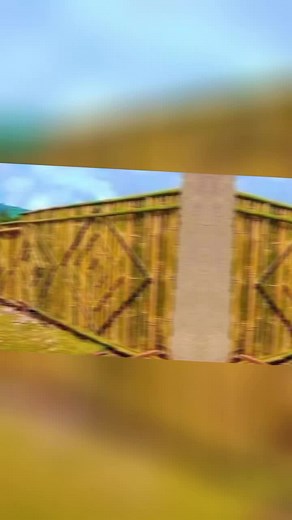 Shashamene Prosperity Party on TikTok