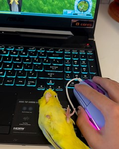 418K views · 9.8K reactions | She just wants to be involved  | Furry Tails | Facebook