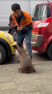 To license this content please click here: https://www.jukinmedia.com/licensing/view/1315339?utm_source=RMsocialpost&utm_medium=RMsocialpost | Jukin Copyright Management