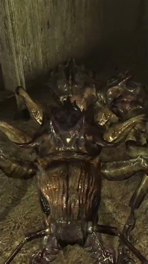 You can spawn in a Dead Ants with console commands, but they will be alive #fallout3