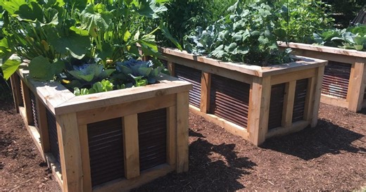 Raise your Southern Utah garden to new heights