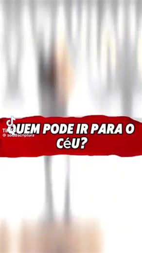 bM.raytec Ray no TikTok