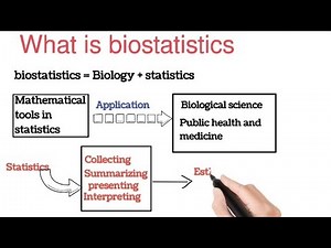 Understanding Biostatistics & Statistics: Variables and Scales of Measurement Explained.
