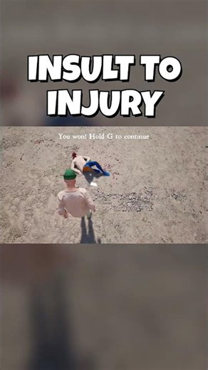 Insult to Injury 👊| Half Sword Combat