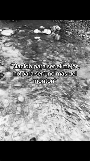 Gente normal se conforma con lo que tiene pero los que buscan más, mejor les irá. #motivation #fact #paratii #virall