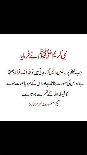 Hazrat Muhammad S.A.W Nai farmaya 🤍 #viral #viralreels #trending #foryoupageシ