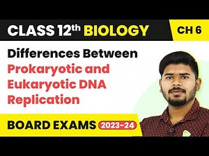 Differences Between Prokaryotic and Eukaryotic DNA Replication - Molecular Basis of Inheritance