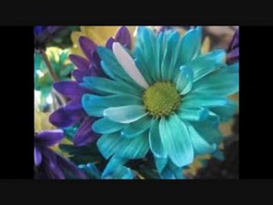 【ディズニー】人気のオルゴールメドレー3 【癒しの睡眠用・作業用】Music Box Medley3