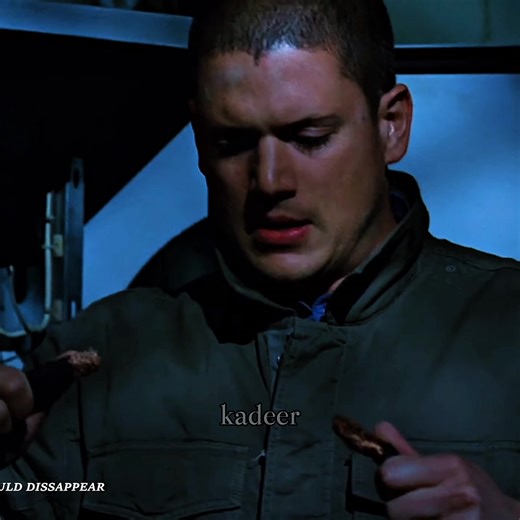 The end 💔 #prisonbreak #netflix #series #tiktok #viral