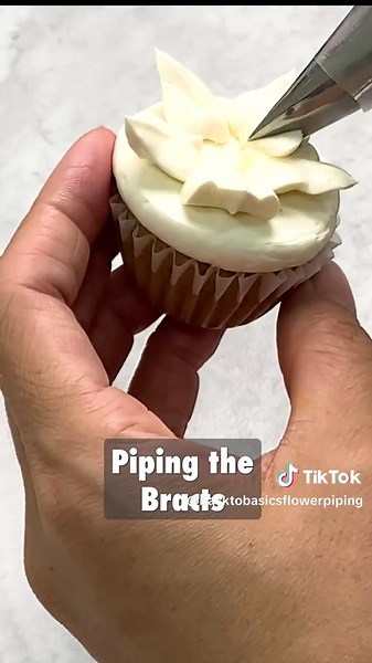 Starting the Christmas season with one of my favorites — a tiny poinsettia cupcake! If you’re new to flower piping (or want something fun and festive to learn this December), I’ve created a beginner-friendly Christmas mini course that won’t overwhelm you — or your wallet. Inside, you’ll learn: ✨ Blue-white-beige Christmas wreath cake ✨ 6 beautiful cupcake designs ✨ Easy flower piping techniques ✨ Christmas color palettes ✨ My Apple Cranberry Walnut Cake recipe (everyone LOVES this) ✨ Plus piping