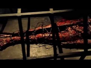 MEGA DRIVE - Video Stalker (edit)