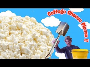 Taste Testing the BEST Cottage Cheese Brands of 2025!