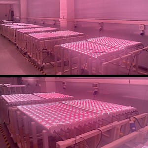 [Hot Item] Supplemental Full Spectrum 120W Plant Growth Lamp with 660nm Red Spectrum Technology