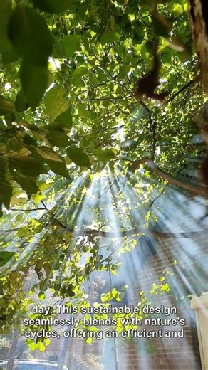 Passive solar architecture uses winter sun to warm homes