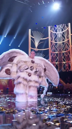 Poodle Moth Masked Singer Unmasked: The Icon's Journey Ends