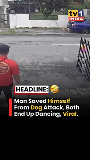 Discover the Dog Dance Challenge with AI Bots